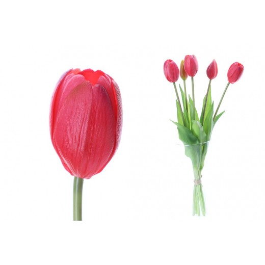 Wiecznie żywe tulipany ciemny róż